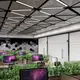 Metal Canopies